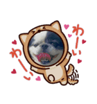 モコマロウニ（個別スタンプ：7）