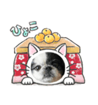 モコマロウニ（個別スタンプ：10）