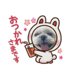 モコマロウニ（個別スタンプ：11）