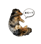 こてつですスタンプ（個別スタンプ：4）