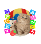 ねこまーち ミルクティープリンス（個別スタンプ：1）