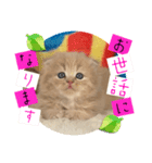 ねこまーち ミルクティープリンス（個別スタンプ：2）