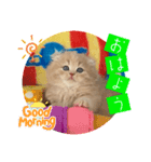 ねこまーち ミルクティープリンス（個別スタンプ：3）