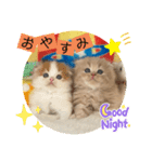 ねこまーち ミルクティープリンス（個別スタンプ：4）