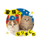 ねこまーち ミルクティープリンス（個別スタンプ：8）