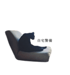 黒猫のくじら 3（個別スタンプ：9）