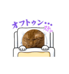 チチと茶々丸（個別スタンプ：6）