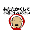 大きな文字 優しい気遣い 犬好きさんへ 冬（個別スタンプ：3）