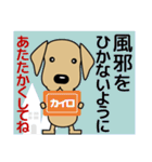 大きな文字 優しい気遣い 犬好きさんへ 冬（個別スタンプ：9）