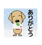 大きな文字 優しい気遣い 犬好きさんへ 冬（個別スタンプ：11）