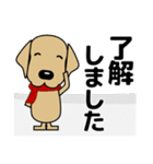 大きな文字 優しい気遣い 犬好きさんへ 冬（個別スタンプ：12）