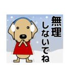 大きな文字 優しい気遣い 犬好きさんへ 冬（個別スタンプ：22）