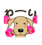 大きな文字 優しい気遣い 犬好きさんへ 冬（個別スタンプ：24）