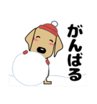 大きな文字 優しい気遣い 犬好きさんへ 冬（個別スタンプ：26）