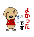 大きな文字 優しい気遣い 犬好きさんへ 冬（個別スタンプ：27）