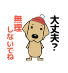 大きな文字 優しい気遣い 犬好きさんへ 冬（個別スタンプ：28）