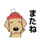 大きな文字 優しい気遣い 犬好きさんへ 冬（個別スタンプ：30）