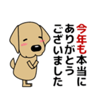 大きな文字 優しい気遣い 犬好きさんへ 冬（個別スタンプ：36）