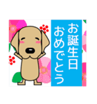 大きな文字 優しい気遣い 犬好きさんへ 冬（個別スタンプ：40）