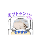 おふくん 新年 冬（個別スタンプ：16）