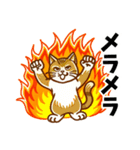 ねこちゃんの感情表現（個別スタンプ：14）