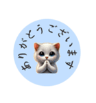 「リアルなねこのLINEスタンプ」が登場！（個別スタンプ：8）