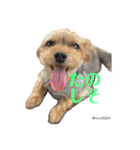 幸せ犬家族(ロコ.ニコ.サラン.リル)（個別スタンプ：2）
