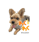 幸せ犬家族(ロコ.ニコ.サラン.リル)（個別スタンプ：5）