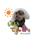 幸せ犬家族(ロコ.ニコ.サラン.リル)（個別スタンプ：6）
