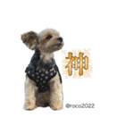 幸せ犬家族(ロコ.ニコ.サラン.リル)（個別スタンプ：7）