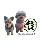 幸せ犬家族(ロコ.ニコ.サラン.リル)（個別スタンプ：11）