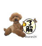 幸せ犬家族(ロコ.ニコ.サラン.リル)（個別スタンプ：12）