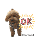 幸せ犬家族(ロコ.ニコ.サラン.リル)（個別スタンプ：13）