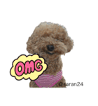 幸せ犬家族(ロコ.ニコ.サラン.リル)（個別スタンプ：15）