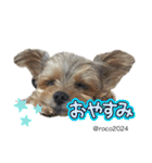 幸せ犬家族(ロコ.ニコ.サラン.リル)（個別スタンプ：17）
