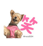 幸せ犬家族(ロコ.ニコ.サラン.リル)（個別スタンプ：18）