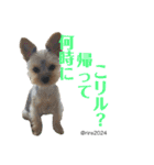 幸せ犬家族(ロコ.ニコ.サラン.リル)（個別スタンプ：20）