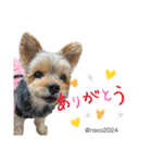 幸せ犬家族(ロコ.ニコ.サラン.リル)（個別スタンプ：22）