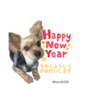 幸せ犬家族(ロコ.ニコ.サラン.リル)（個別スタンプ：23）