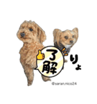 幸せ犬家族(ロコ.ニコ.サラン.リル)（個別スタンプ：26）