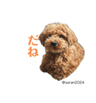 幸せ犬家族(ロコ.ニコ.サラン.リル)（個別スタンプ：30）