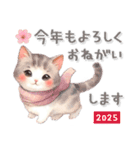 猫がいっぱい♡年末年始【改訂版】（個別スタンプ：3）