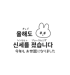 韓国語うさちゃん(冬)（個別スタンプ：13）