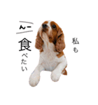 Dog lover 3:)（個別スタンプ：1）