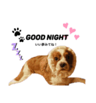 Dog lover 3:)（個別スタンプ：6）