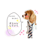 Dog lover 3:)（個別スタンプ：12）