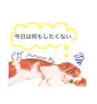 Dog lover 3:)（個別スタンプ：13）