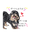 Dog lover 3:)（個別スタンプ：16）