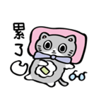 ねこ「ビンージ」01（個別スタンプ：8）