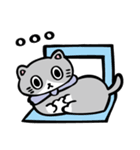 ねこ「ビンージ」01（個別スタンプ：16）